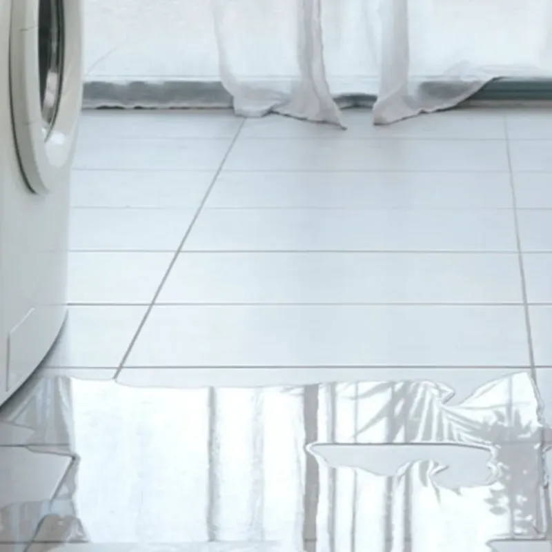 Appliance Leak Cleanup in Medina, NY