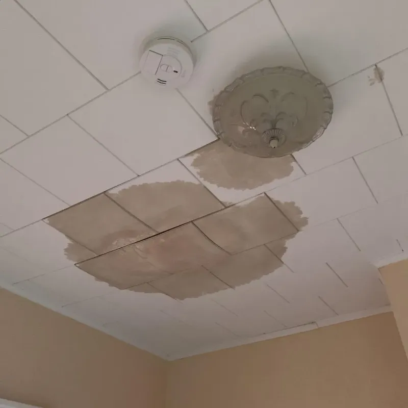 Ceiling Water Damage Repair in Medina, NY